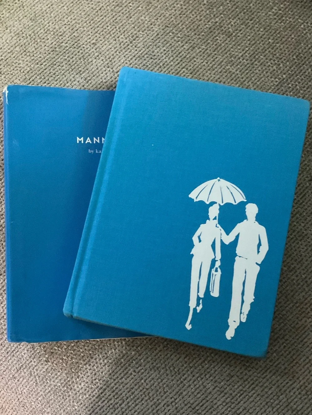 KATE SPADE ♠️ Blue Hardcover Book 